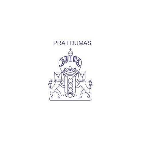 Papel de filtro cuantitativo plegado endurecido PRAT DUMAS, velocidad media, Ø 110 mm, 100 uds